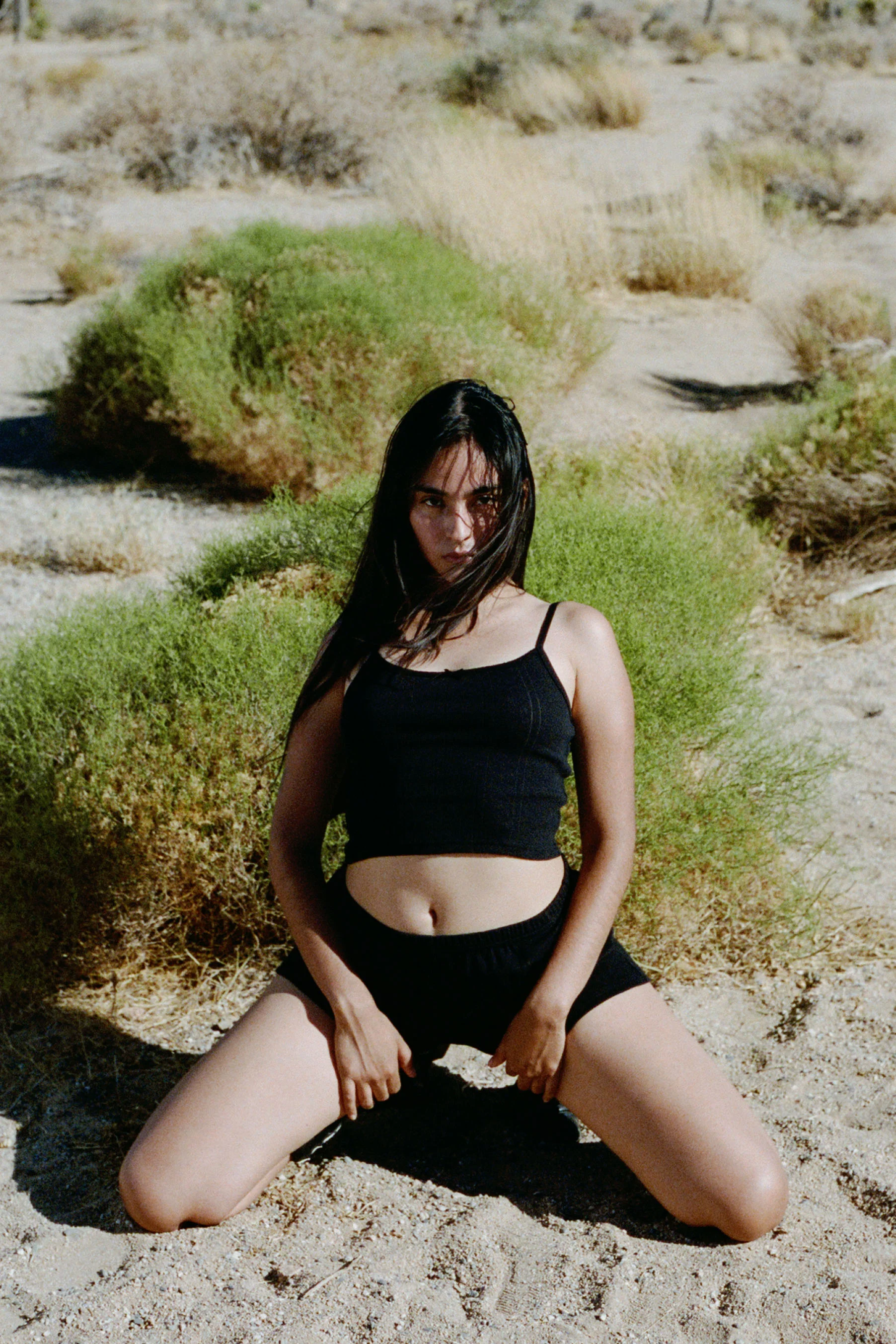 The Short: 2-Pack - Image 9